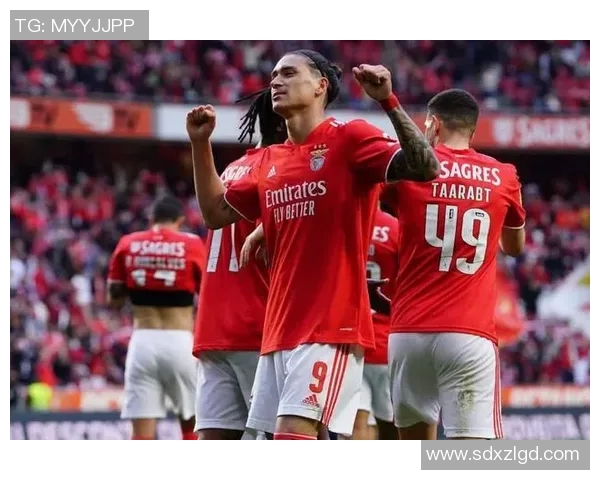 达尔文在足球界的崛起与成就揭秘