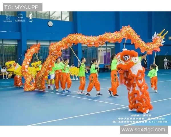 广州网球队荣登全国网球比赛经验排行榜第二名的背后故事与成就分析